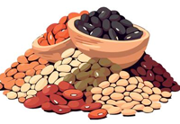 Pulses Icon